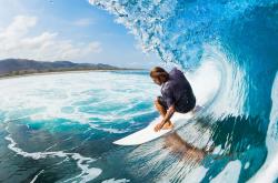 开云足球直播-灰熊硬仗取胜广东队，武切维奇成为关键先生