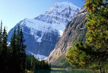 开云下载-里尔球员在法甲联赛中取得关键胜利