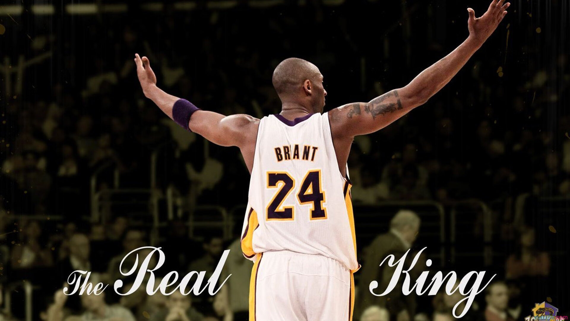 贝恩关键一击,公牛硬仗力克浙江,诠释何为关键先生